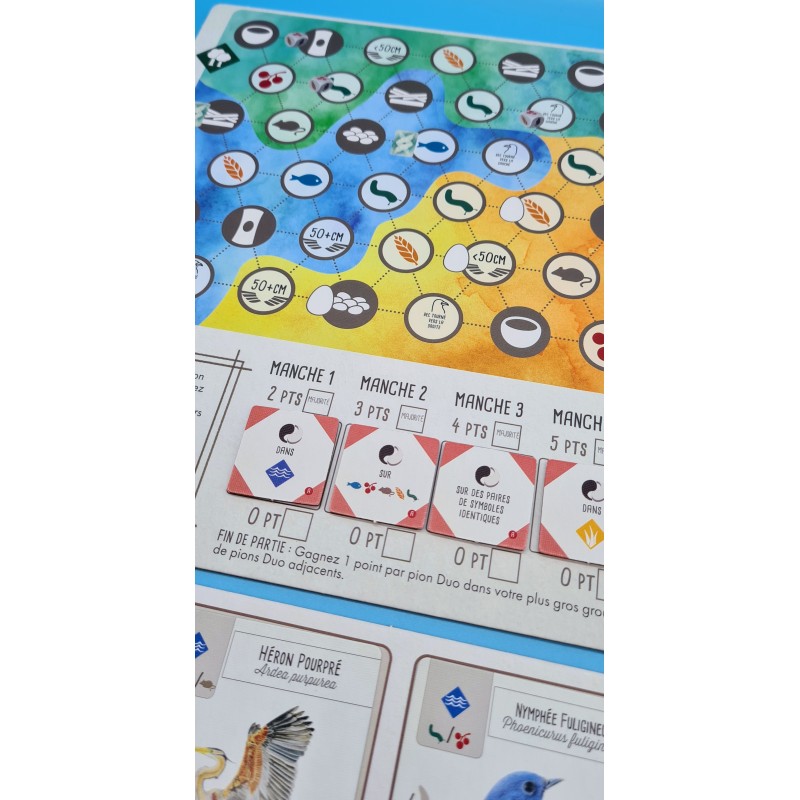 Lot Wingspan Asie + Océanie – Extensions Françaises – Jeu De Société Expert – Dès 10 Ans – 1 à 5 Joueurs