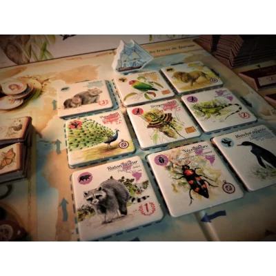 Darwin contenu 3 - gigamic