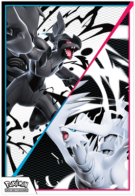 Pokémon : Coffret poster Foudre Noire et Flamme Blanche