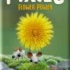 Pixies : Flower Power