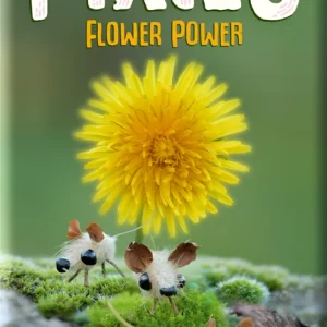 Pixies : Flower Power