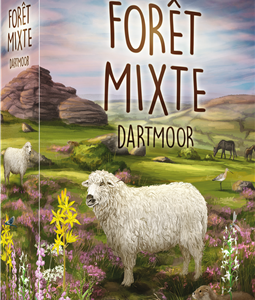 Foret Mixte - Dartmoor