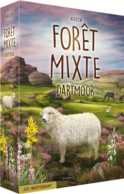 Foret Mixte - Dartmoor