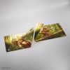SWU - C9 : Tapis Wicket / Ewok Archers